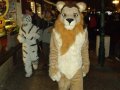 DSCF2678.JPG
